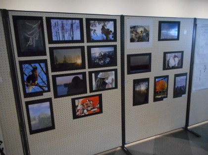 写真部の作品